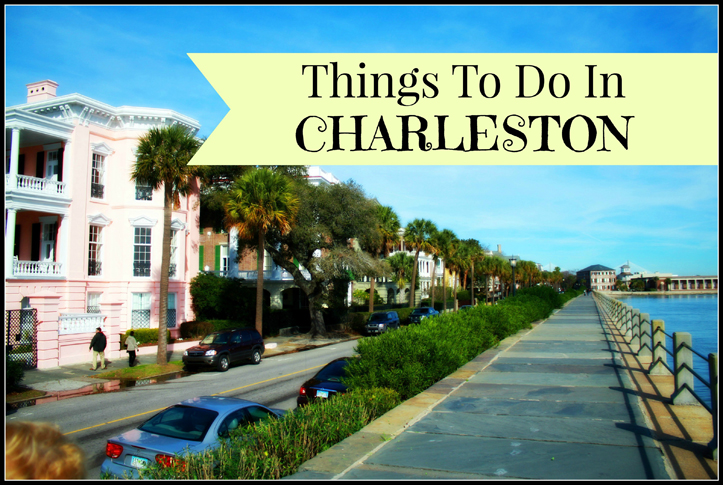 dog friendly things to do in charleston sc
